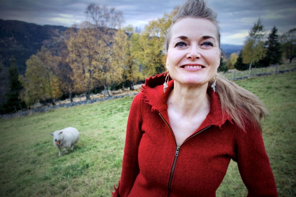 Etter mange år i hovedstaden dro Tove Bøygard hjem til småbruket der hun tilbragte barneårene – på Skrindo i Hallingdal. Men liene er bratte – og regnvannet holdt på å ta med seg huset under herjingene til Hans.