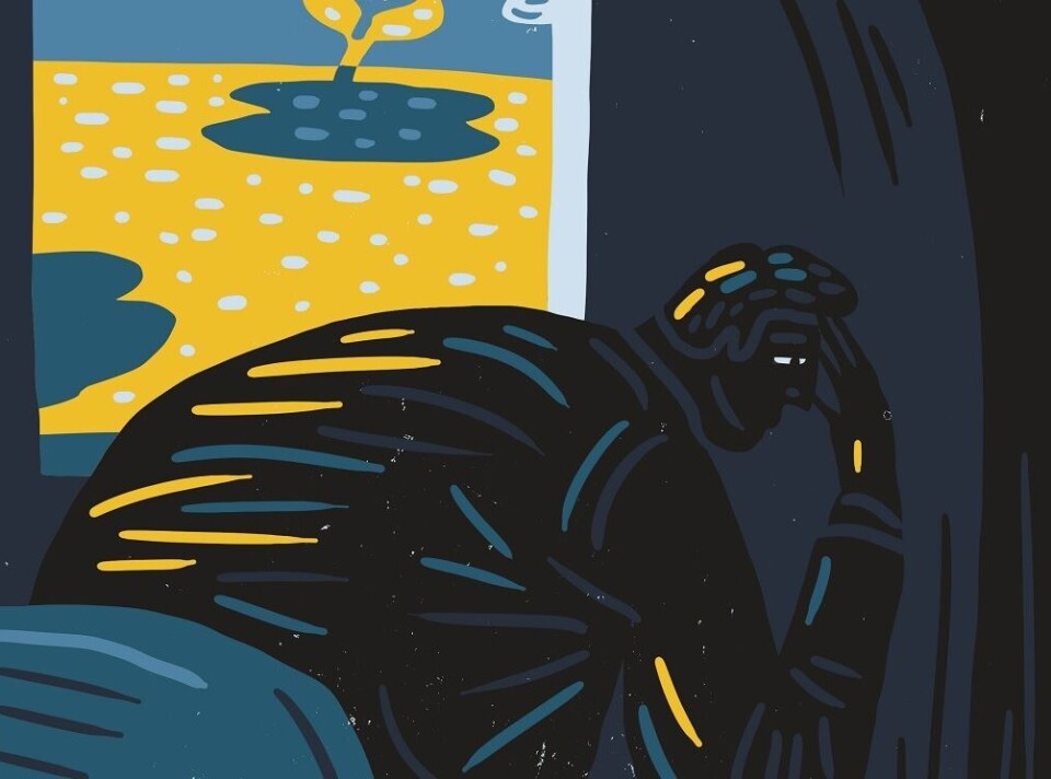 LES OGSÅ: Fra tabu til forsøk på å forstå