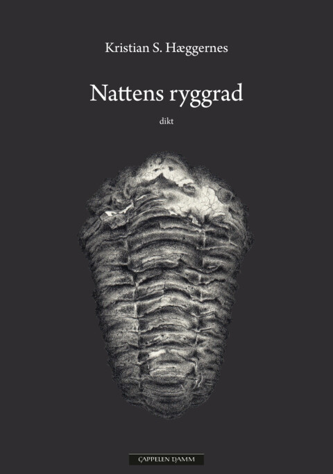 De syv lange diktene Kristian S. Hæggernes' Nattens ryggrad veksler mellom det narrative og det assosiative, og mellom når og hvis.