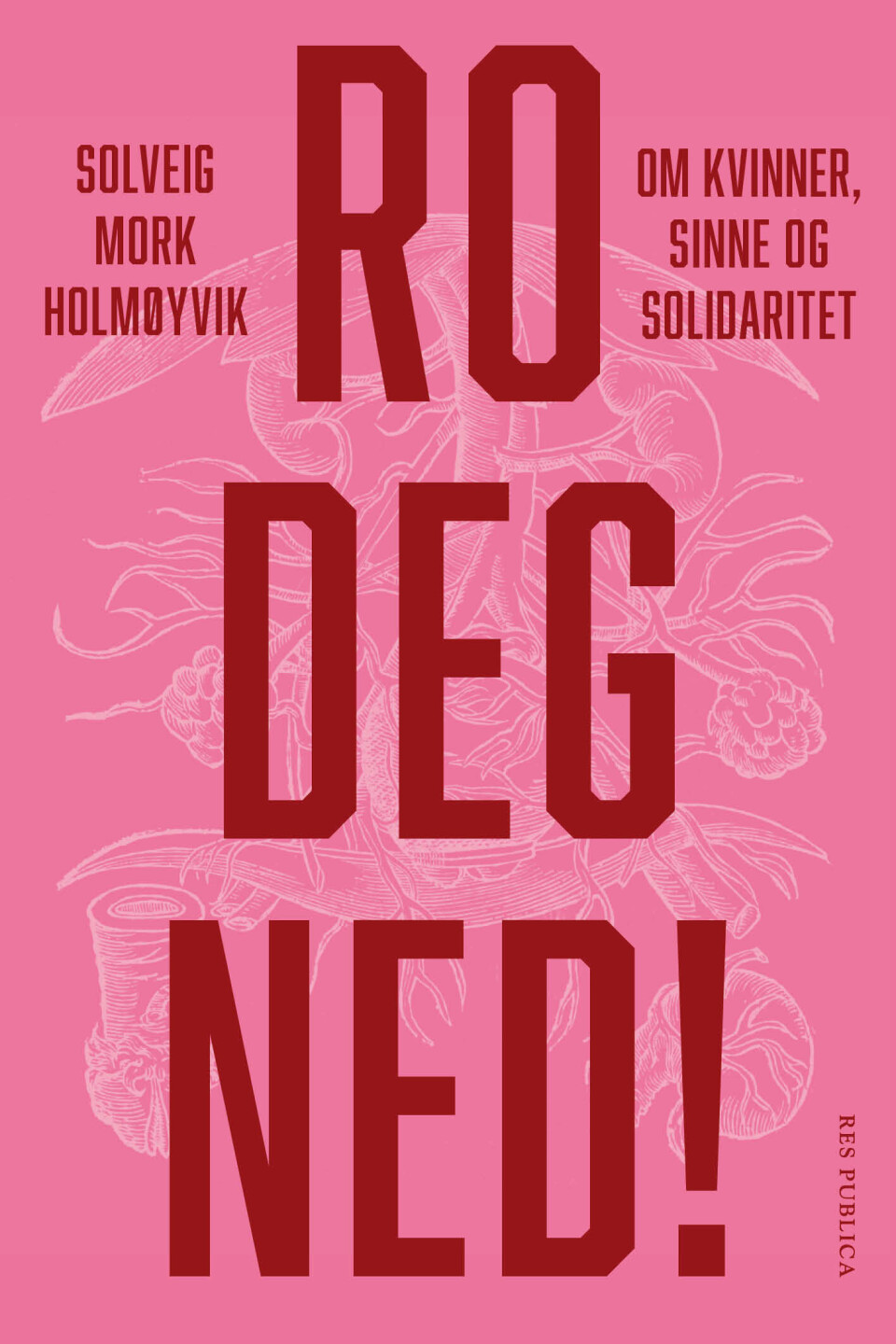 Ro deg ned! Om kvinner, sinne og solidaritet er Solveig Mork Holmøyviks første bok.