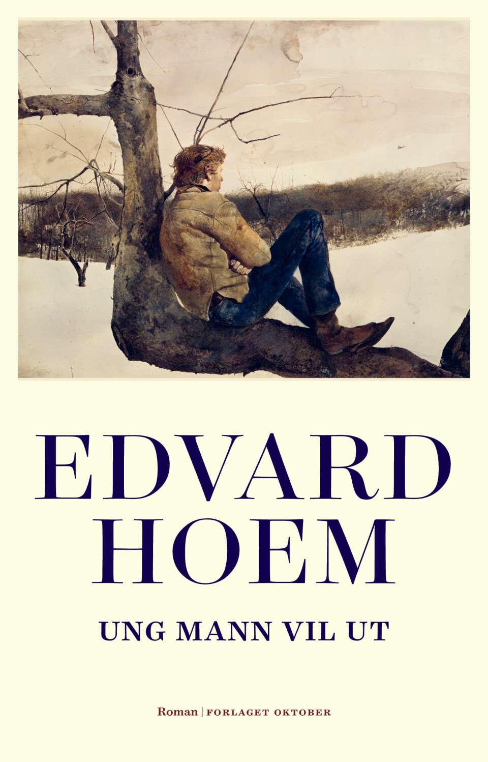 Ny bok fra Edvard Hoem: Ung mann vil ut.