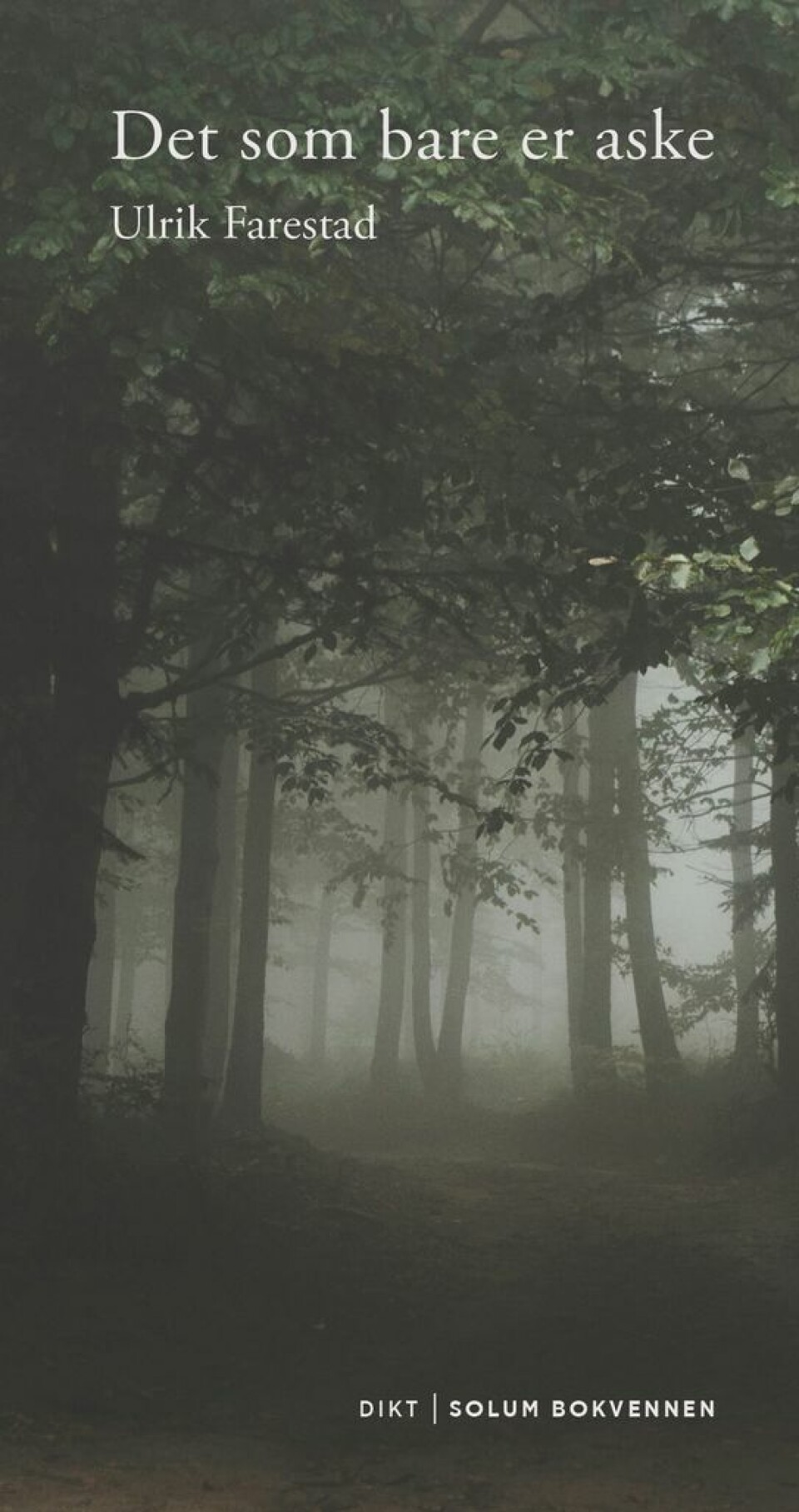 Forener klassisk kunst og barnlig fantasi i ny diktsamling