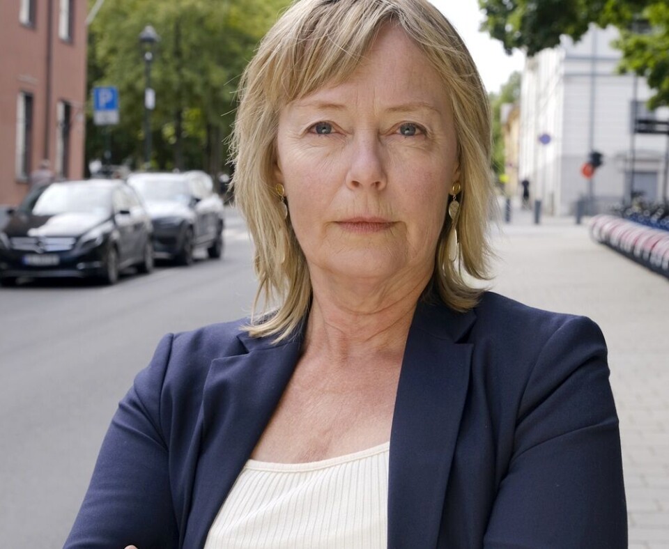 Norske Kunsthåndverkere: – Gratisarbeidet fortsetter