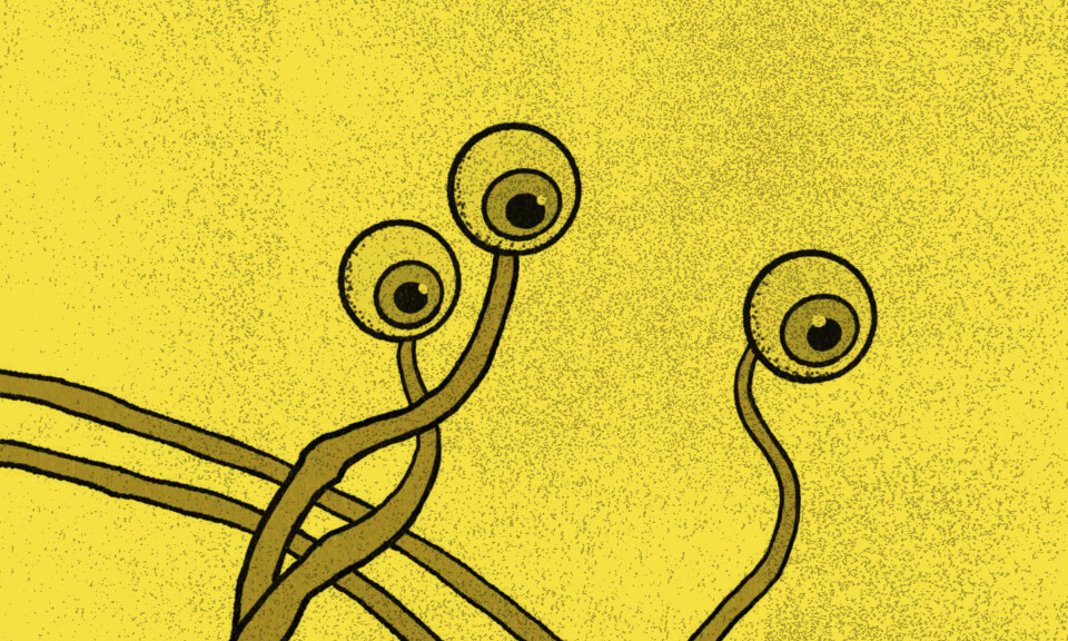 Samtiden med kroppen som tema