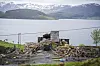 Aksjonister og sperringer ved et anleggsområde ved Førdefjorden med fjell og vann i bakgrunnen.