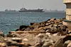 Tankskip og lasteskip ligger på havet utenfor en steinete kyst i Omanbukta.
