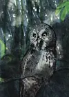 Illustrert ugle sitter på en gren i en mørk, grønn skog.